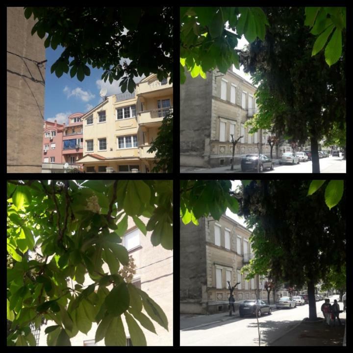 Apartment Voortex Trebinje Bagian luar foto