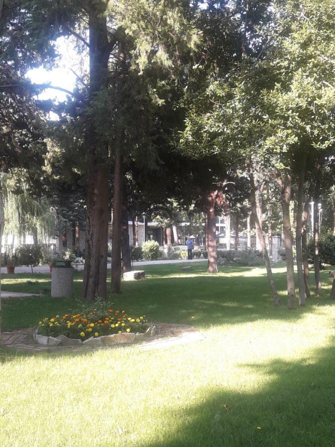 Apartment Voortex Trebinje Bagian luar foto