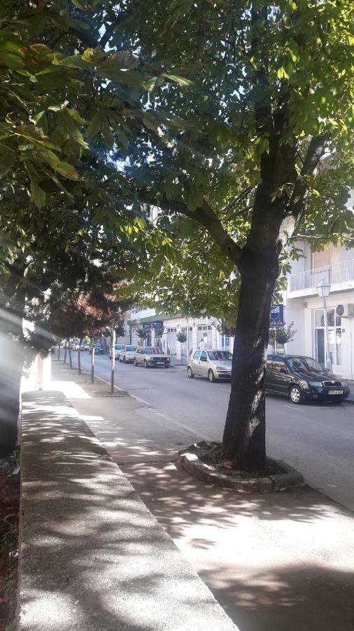 Apartment Voortex Trebinje Bagian luar foto